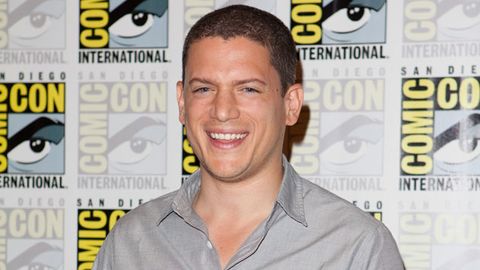 <i>Prison Break</i>'s Wentworth Miller comes out as gay and slams Russia over anti-gay laws