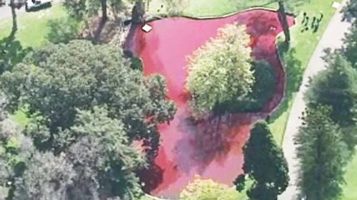 An aerial view of the red lake. (9NEWS)