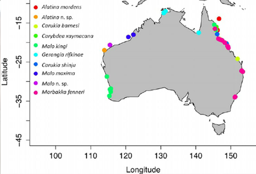 Onze espèces d'Irukandji et leur répartition présumée en Australie.