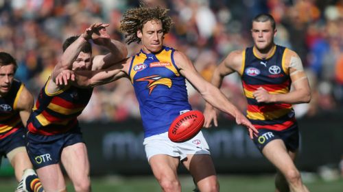 West Coast Eagles player Matt Priddis is the 2014 Brownlow Medal winner. (AAP)