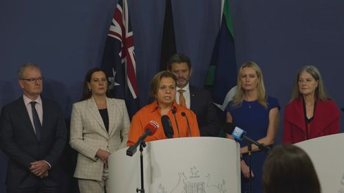 Todos os estados e limites concordaram em se apressar em urgente para se reformar para trabalhar com a verificação infantil após alegações de abuso infantil para centros no país. 