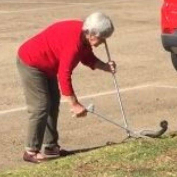 Two year old snake catcher has the scariest hobby