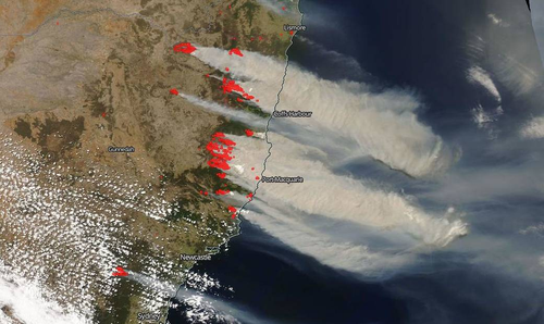 Smoke from the unprecedented number of bushfires burning on the east coast was visible from space. 