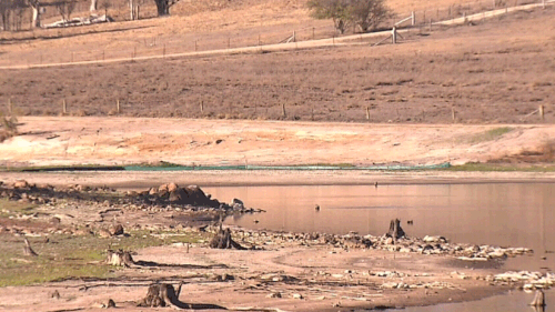 Drought Tenterfield