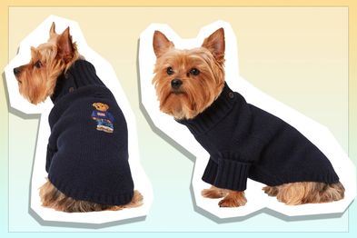 9PR: Polo Ralph Lauren Wool-Cashmere Blended Dog Sweater, Navy