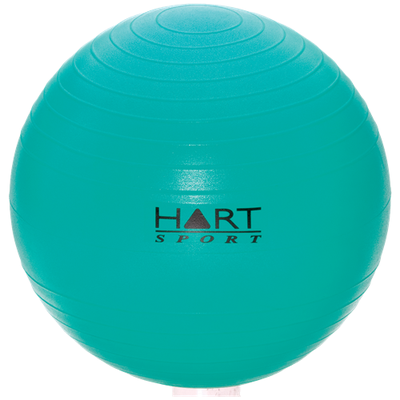 <strong>Hart Swiss ball</strong>