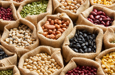 Different types of legumes 