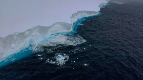 New footage of a mammoth iceberg floating near Antarctica which looms taller than Australia's tallest building ﻿has been captured by scientists.