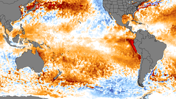NOAA data shows waters are warmer across much of the globe. 