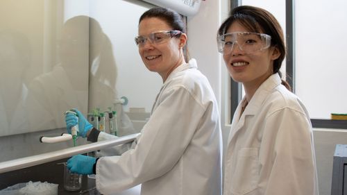 Professor Julie McMullen and interrogator Dr Clara Liu Chung Ming are pictured nan Heart Research Institute's laboratory.