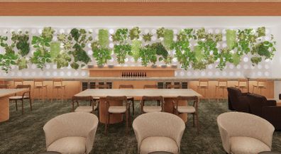 The new Qantas Auckland International Lounge, complete with a 'herb wall'.