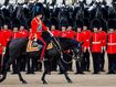 William rides in spectacular rehearsal for jubilee event