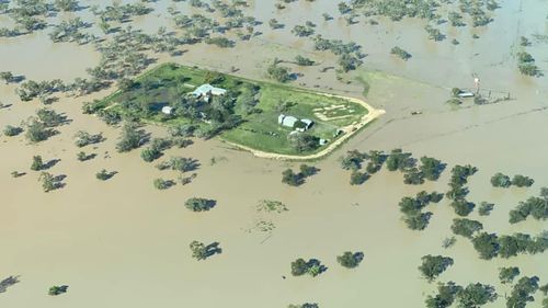 Moree flood