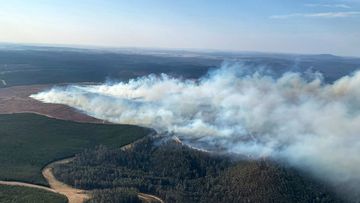 The fire danger on the NSW Far South Coast is &#x27;catastrophic&#x27;.