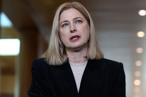 Minister for Agriculture, Fisheries and Forestry Julie Collins speaks to the media after the US beef import ban was lifted at Parliament House in Canberra on July 24, 2025