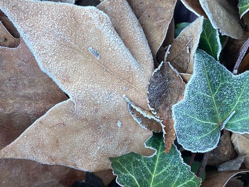 Icy polar blast weather ACT, NSW