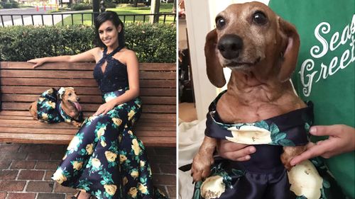 Woman designs matching prom dress for pet dachshund