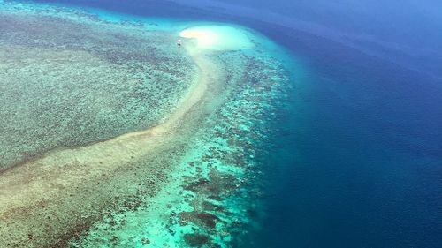 Survey reveals 93 percent of Great Barrier Reef has been impacted by coral bleaching