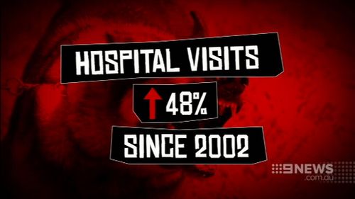 Hospital visits from dog attacks have increased since 2002. (9NEWS)