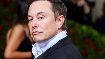 Tesla&#x27;s billionaire CEO Elon Musk