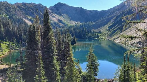 Bear Lake Trail in British Columbia is a popular area for backpacking, camping and hiking.