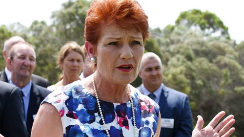 Pauline Hanson calling for national ID card