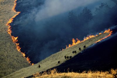 "Battling the Marsh Fire" by Noah Berger for Associated Press 