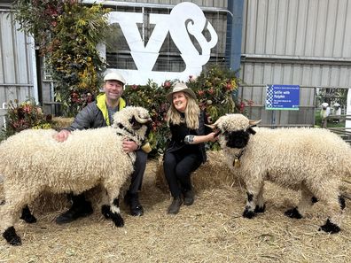 valais blacknose yarra valley sheep sydney royal easter show kim and richie