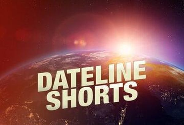 Dateline Shorts