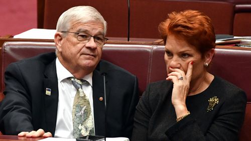 Brian Burston and Pauline Hanson in the Senate chamber. (AAP)