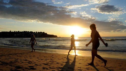 2016 named warmest year on record, the UN finds