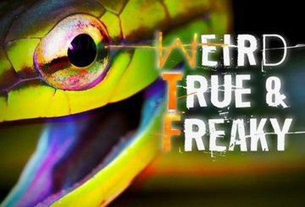Weird, True & Freaky