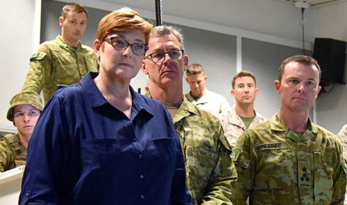 Defence Minister Marie Payne gave government support for a Senate inquiry during her visit to Darwin military bases. (AAP).