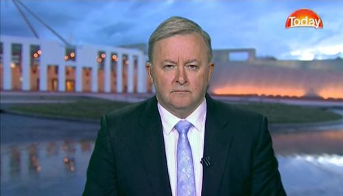 Ms Husar's Labor colleague Anthony Albanese defended her on the Today Show, despite the allegations. Picture: 9NEWS.