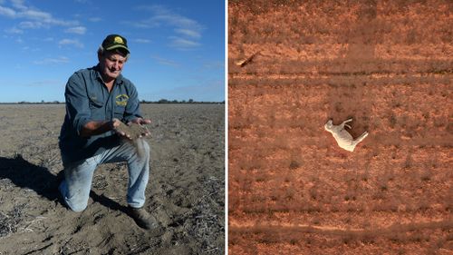 The strong weather system would hit as most of Australia's eastern states are battling the crippling effects of drought.