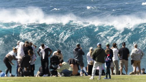 A large crowd watches as large wave break off Wedding Cake Island on March 28, 2026 in Sydney, Australia.