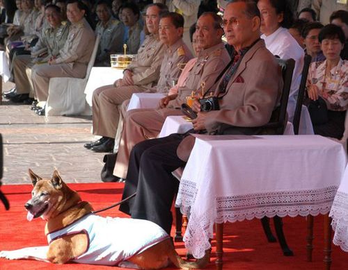 Sarcastic machinist faces death in prison for insulting Thai king's dog