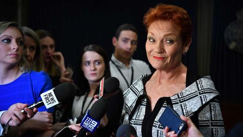 Pauline Hanson has taken a swing at Clive Palmer.