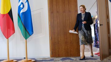 Queensland Premier Annastacia Palaszczuk holds a press conference.