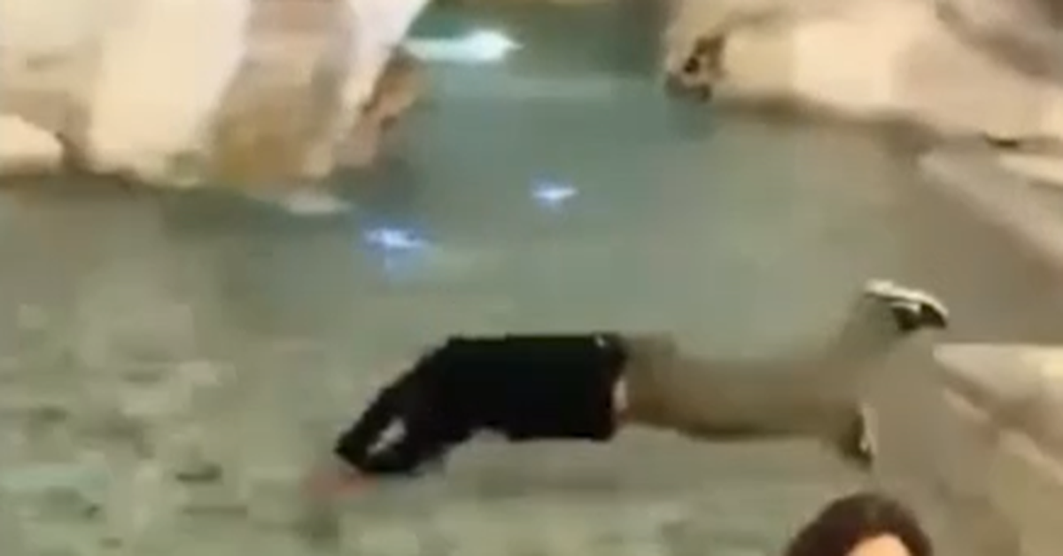 Kiwi tourist fined after diving into Trevi Fountain in Rome