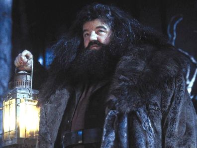 Robbie Coltrane as Hagrid in Harry Potter