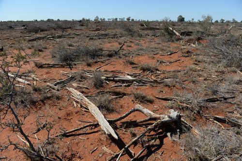 Parts of Australia haven't experienced rain for a long time, making them look like this drought-affected part of Queensland captured in 2015. (AAP)