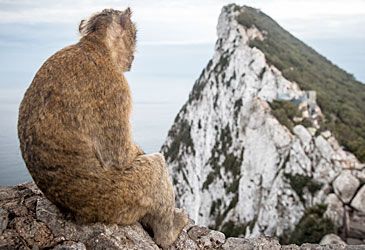Gibraltar shares a land border with which nation?
