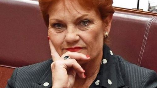 Senator Hanson yesterday called for the burqa to be banned in "buildings, banks and schools". (AAP file image)