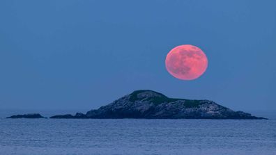 The Strawberry Moon, rising above Egg Rock bird sanctuary in Nahant Bay near Boston.