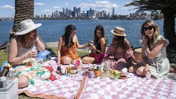 Picnics at Cremorne Point, Sydney.