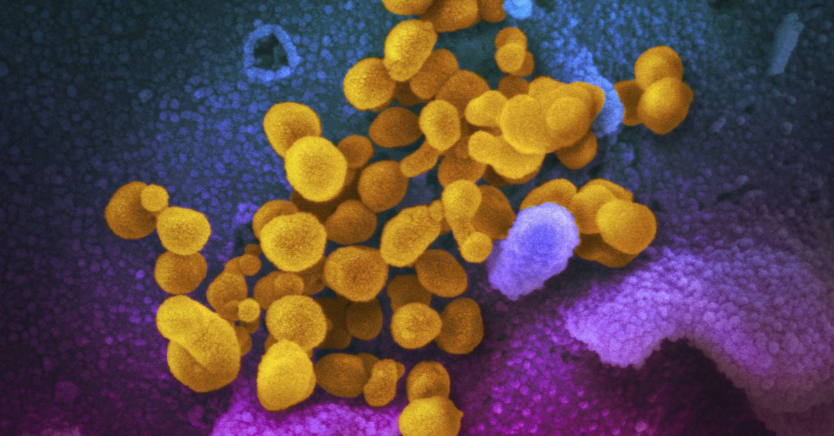 Long COVID - A New Study Says There's No Difference Between the Two Viruses