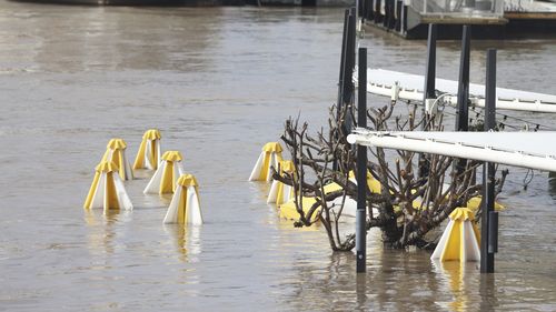 The River Bar and Kitchen is submerged in floodwaters in the Brisbane CBD.