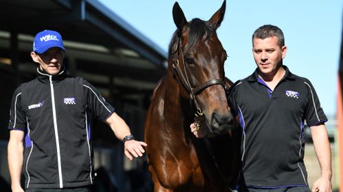 Winx is now six years old, and has won $15 million in prize money. (AAP)