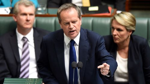 Bill Shorten's leadership ballot under scrutiny